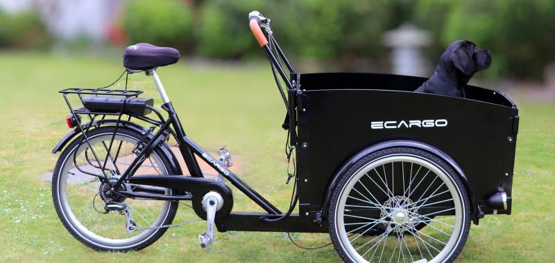Cargo Bikes are an Energy Sufficient Solution to Urban Transport Needs