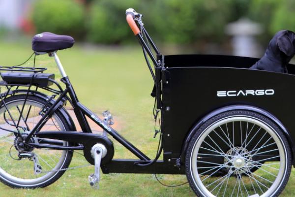 Cargo Bikes are an Energy Sufficient Solution to Urban Transport Needs